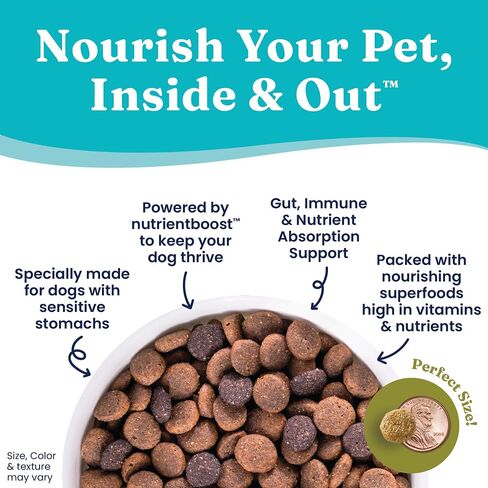 Solid Gold Dry Dog Food for Adult & Senior Dogs - Made w/Real Venison, Potato, & Pumpkin - Nutrientboost Buck Wild Sensitive Stomach Dog Food for Protein Sensitivities & Gut Health - 22 LB in Saudi Arabia