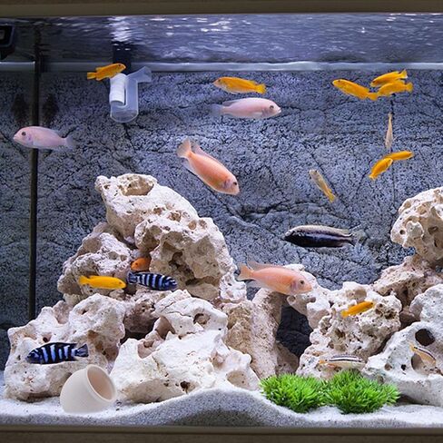 RUIAN Ceramic Jar Aquarium Decorations Fish Tank Hideout Cave Cute Pot Aquarium Accessories Decor Ornaments for Cichlid, Small Fish, Shrimp to Play Hide Breed Habitat (White) in Saudi Arabia