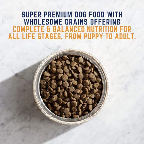 Natural Balance Original Ultra Adult Dry Dog Food with Superfood Blend and Healthy Grains, Chicken & Barley Recipe, 24 Pound (Pack of 1) in Saudi Arabia