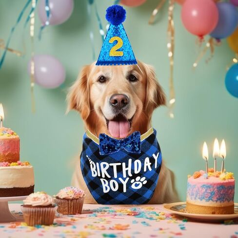 Dog Birthday Party Supplies, Birthday Boy Dog Bandana Set Birthday Hat with Numbers Dog Bow Tie for Small Medium Large Dogs Pets (XL Bandana) in Saudi Arabia