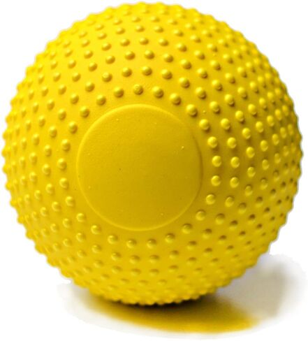 Dog Toys Balls, Herding Ball for Dogs,Almost Indestructible Dog Ball, Outdoor Christmas Durable Dog Toys ，Interactive Balls for Small/Medium Dogs, Dog Ball Float On Water Fetch Bouncy Solid in Saudi Arabia