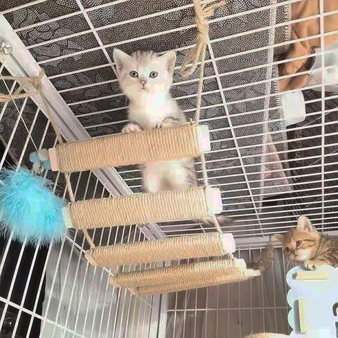 Cat Ladder Bridge Cat Tree Scratching Post Cat Tower - Enhance Your Cat's Playground with our Sturdy Cat Bridge (L-22in (56cm)) in Saudi Arabia