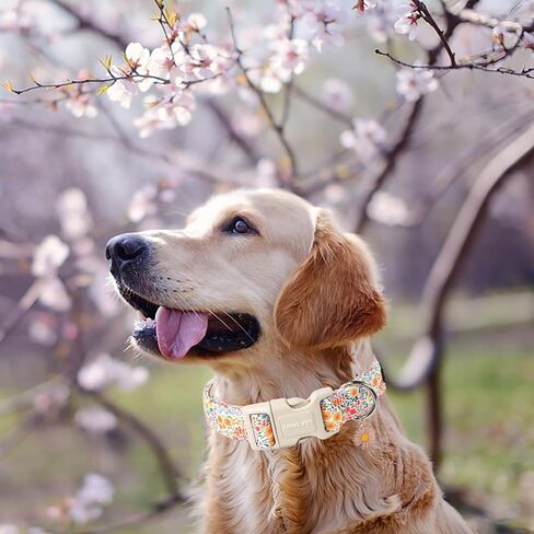 ARING PET الصيف طوق الكلب - طوق الكلب لطيف للكلاب الصغيرة، قابل للتعديل القطن الأزهار الياقات الحيوانات الأليفة جرو طوق للكلاب الصغيرة والمتوسطة والكبيرة in Kuwait
