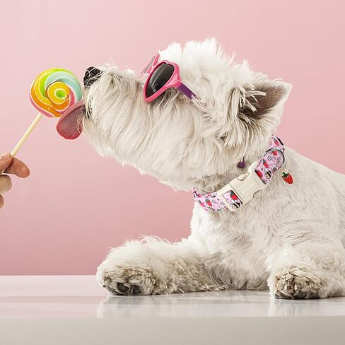 ARING PET الصيف طوق الكلب - طوق الكلب لطيف للكلاب الصغيرة، قابل للتعديل القطن الأزهار الياقات الحيوانات الأليفة جرو طوق للكلاب الصغيرة والمتوسطة والكبيرة in Kuwait