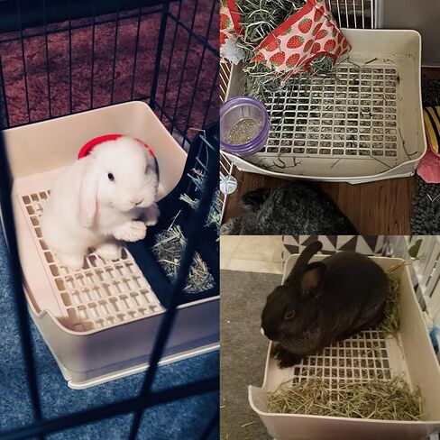 Tfwadmx Large Rabbit Litter Box Bunny Corner Toilet Potty Trainer with Drawer Bigger Pet Pan for Adult Guinea Pigs Chinchilla Hamster Hedgehog and Other Animals (Brown) in Kuwait