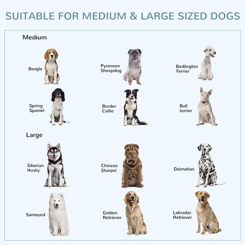PawHut Foldable Heavy Duty Dog Cage, Chew Proof Dog Crate on Wheels, Portable Dog Crate Kennel with Removable Tray, Large and Medium Pups, 43" in Saudi Arabia