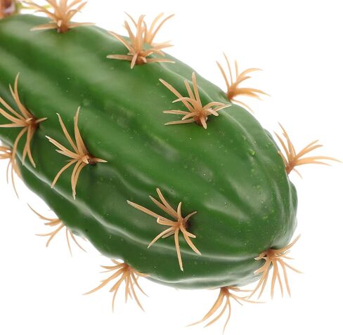POPETPOP Cactus Terrarium Plant Reptile Plants Aquarium Plants Plastic Cactus Plant for Lizard Gecko Bearded Dragon Fish Tank Desert Reptile Decoration in Saudi Arabia