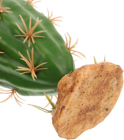 POPETPOP Cactus Terrarium Plant Reptile Plants Aquarium Plants Plastic Cactus Plant for Lizard Gecko Bearded Dragon Fish Tank Desert Reptile Decoration in Saudi Arabia