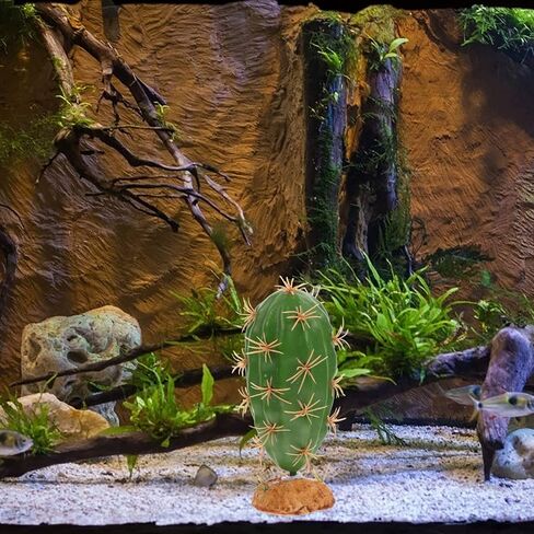 POPETPOP Cactus Terrarium Plant Reptile Plants Aquarium Plants Plastic Cactus Plant for Lizard Gecko Bearded Dragon Fish Tank Desert Reptile Decoration in Saudi Arabia