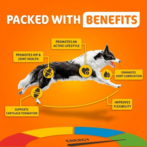 GIGIL Joint Support Supplement for Dogs – Hip and Joint Chews for Dogs with Glucosamine Chondroitin and MSM, Hyaluronic Acid – Dog Joint Supplement Large & Small Breeds – Beef Flavor – 9oz (120 Chews) in Saudi Arabia