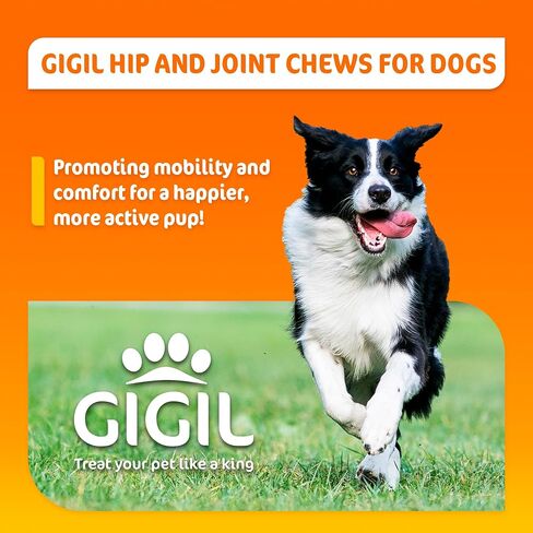 GIGIL Joint Support Supplement for Dogs – Hip and Joint Chews for Dogs with Glucosamine Chondroitin and MSM, Hyaluronic Acid – Dog Joint Supplement Large & Small Breeds – Beef Flavor – 9oz (120 Chews) in Saudi Arabia