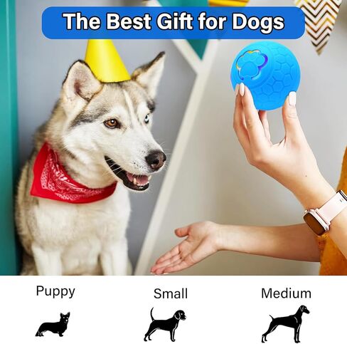 Smart Interactive Dog Ball Toy,Active Rolling Ball for Dogs with LED Flash Light,Moving Bouncing Dog Ball for Puppy/Small/Medium Dogs,Stimulating Exercise and Fun Pet Playtime in Kuwait