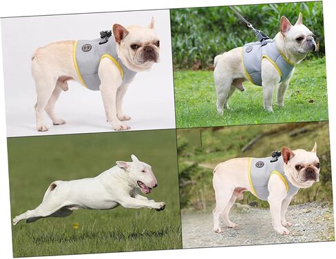 Beavorty Cool Vest for Dogs Puppy Cooler Jacket Pet Cooling Jacket Dog Cooler Vest Stylish Pet Dog Harness Cooler Jacket Camis Cooling Jacket for Dogs Pet Pulling Strap Medium Dog Fashion in Saudi Arabia