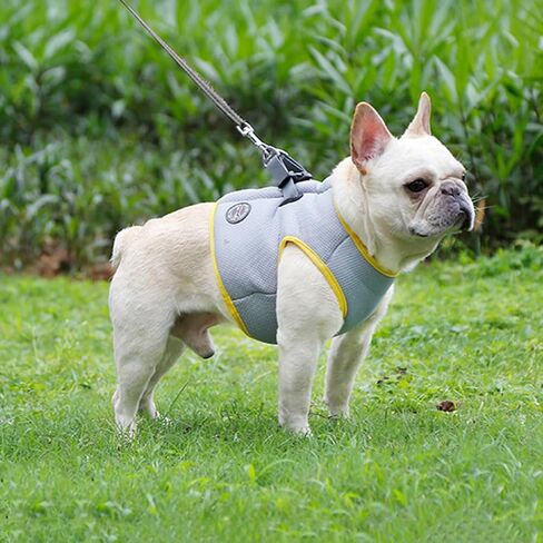 Beavorty Cool Vest for Dogs Puppy Cooler Jacket Pet Cooling Jacket Dog Cooler Vest Stylish Pet Dog Harness Cooler Jacket Camis Cooling Jacket for Dogs Pet Pulling Strap Medium Dog Fashion in Saudi Arabia