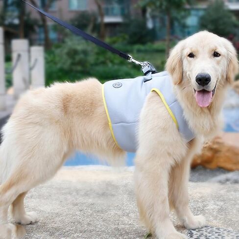 Beavorty Cool Vest for Dogs Puppy Cooler Jacket Pet Cooling Jacket Dog Cooler Vest Stylish Pet Dog Harness Cooler Jacket Camis Cooling Jacket for Dogs Pet Pulling Strap Medium Dog Fashion in Saudi Arabia