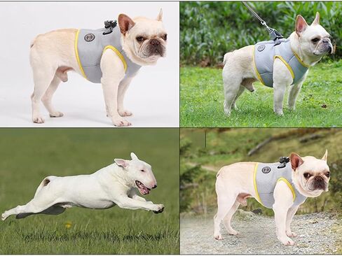 Beavorty Cool Vest for Dogs Puppy Cooler Jacket Pet Cooling Jacket Dog Cooler Vest Stylish Pet Dog Harness Cooler Jacket Camis Cooling Jacket for Dogs Pet Pulling Strap Medium Dog Fashion in Saudi Arabia