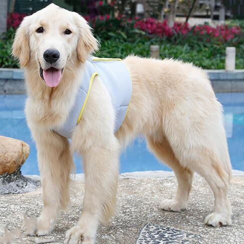 Beavorty Cool Vest for Dogs Puppy Cooler Jacket Pet Cooling Jacket Dog Cooler Vest Stylish Pet Dog Harness Cooler Jacket Camis Cooling Jacket for Dogs Pet Pulling Strap Medium Dog Fashion in Saudi Arabia