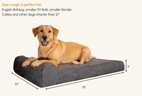 Barker Junior 4" Orthopedic Dog Bed - Dog Beds for Small and Medium Dogs - Made with OrthoMedic Foam - Charcoal Gray, Large - Supports Joints, Boosts Quality of Life, and Better Rest, Made in USA in Kuwait