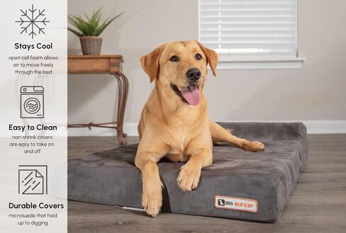 Barker Junior 4" Orthopedic Dog Bed - Dog Beds for Small and Medium Dogs - Made with OrthoMedic Foam - Charcoal Gray, Large - Supports Joints, Boosts Quality of Life, and Better Rest, Made in USA in Kuwait