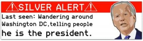 مغناطيس مضحك، تنبيه بايدن الفضي (بايدن مناهض للديمقراطيين)، ملصق للتصويت لعام 2024 [01075] in Saudi Arabia