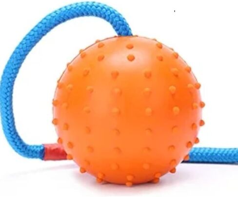 Working Dog Fetch Ball with Rope, Dog Training Ball, Exercise Rubber Ball for Dogs (Orange, 7cm/3in) in Kuwait