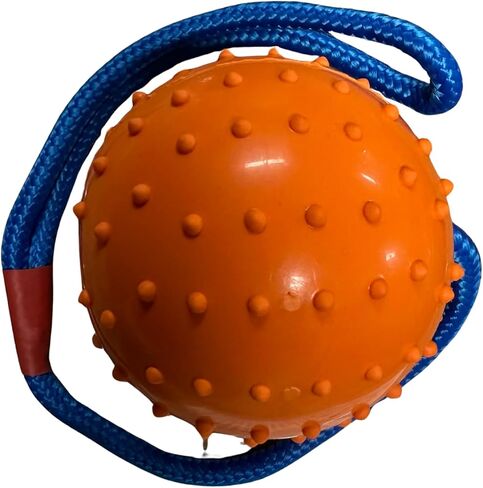 Working Dog Fetch Ball with Rope, Dog Training Ball, Exercise Rubber Ball for Dogs (Orange, 7cm/3in) in Kuwait