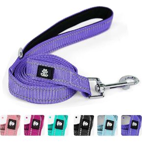 IVY&LANE Reflective Dog Leash for Small Medium Large Dogs,Soft Padded Handle Strong Nylon Dogs Leash 5 FT for Dog Walking,Running,Training,Fuchsia Pink