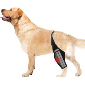 Dog Knee Brace for ACL with Side Stabilizers,Splint Hinged Adjustable Support Brace for Knee Cap Dislocation, Arthritis Keeps Joint,Hip Brace of Different Sizes for Cruciate Ligament Injuries(M)