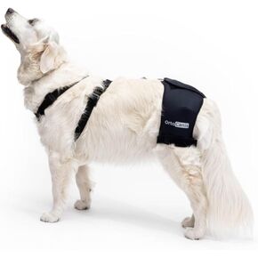 Ortocanis - Hip Support for Dogs with Hip Dysplasia or Osteoarthritis (L)