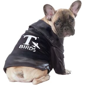 Rubie's Grease Pet T-Birds Costume Jacket, X-Large (580674LXL_XL)