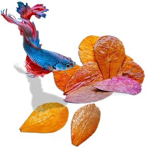 SunGrow Betta Leaves, 2", 50 Pcs Beneficial Mini Catappa Indian Almond Leaves for Overall Development in Fish Tank Aquarium, Water Conditioner Leaves Lower pH