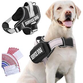 Service Dog Harness with Mini Storage Bag, Adjustable Outdoor Pet Dog Vest, Reflective Nylon Material, No Pull Dog Harness with Replaceable Patch & ADA Info Cards for Small, Medium, Large Dogs