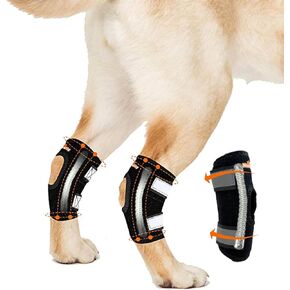 NeoAlly Rear Leg Hock Brace with Metal Spring Strips, Dog Leg Brace for Rear Leg, Hock and Ankle Support, Rear Dog Leg Brace for Smaller Dogs, Short Version, Xs, 1 Pair