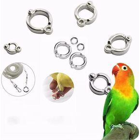 Pssopp 10Pcs Bird Foot Rings Metal Leg Outdoor Fly Training Activity Opening Clip Accessories for Small Medium Large Birds Training(#6)