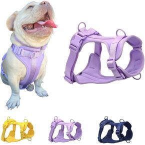 Dog Harness, No-Pull Pet Harness with 3 Leash Clips, Adjustable Soft Padded Dog Vest, Breathable Mesh Cushion for Small Medium Large Dogs (Purple, Medium (Neck:15"-19" Chest 22"-30"))
