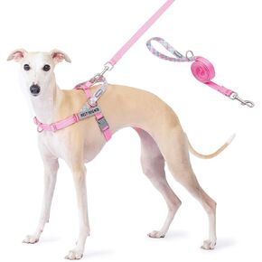Easy Walk Dog Harness and Leash Set, Freedom No Pull Harness with 2 Patches,Escape Proof/Quick Fit to Adjust Dog Vest Harness,Easy for Training Walking for Small,Medium & Large Dogs(Pink,M)
