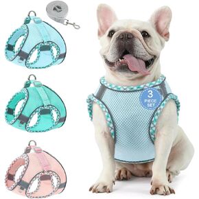 Demigreat Dog Harness for Small Medium Dog No Pull,3-Pack Puppy Harness and Leash Set, Step in Adjustable Dog Harness with Padded Vest for All Weather（M）.