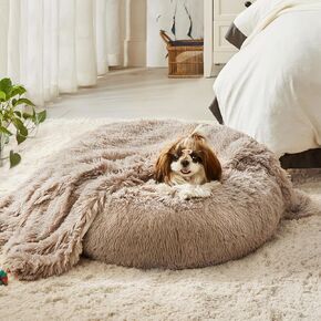 WESTERN HOME WH Small Calming Dog Bed Cat Bed with Blanket in Kuwait