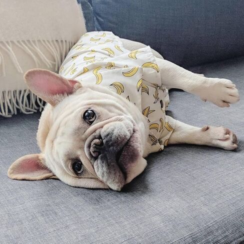 Hawaii Dog Shirt, Pet Summer T-Shirts, Breathable Cool Clothes Beach Seaside Puppy Shirt Sweatshirt for Small Dog (Yellow, X-Large) in Saudi Arabia