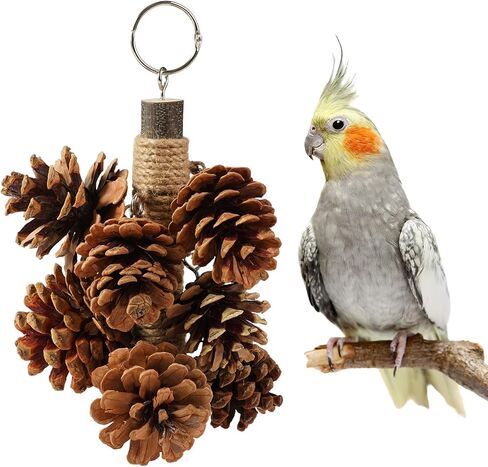Bird Toys for Parrots Wooden Parrot Toys Natural Pine Cones Parrot Chewing Toys Medium-Sized Bird Toys with 8PCS Pine Cones Hangable Bird Cage Toy for Conures Parakeets African Grey Amazon Parrots in Saudi Arabia