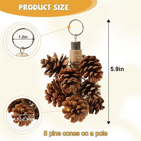 Bird Toys for Parrots Wooden Parrot Toys Natural Pine Cones Parrot Chewing Toys Medium-Sized Bird Toys with 8PCS Pine Cones Hangable Bird Cage Toy for Conures Parakeets African Grey Amazon Parrots in Saudi Arabia