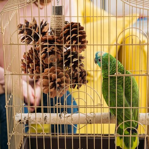 Bird Toys for Parrots Wooden Parrot Toys Natural Pine Cones Parrot Chewing Toys Medium-Sized Bird Toys with 8PCS Pine Cones Hangable Bird Cage Toy for Conures Parakeets African Grey Amazon Parrots in Saudi Arabia