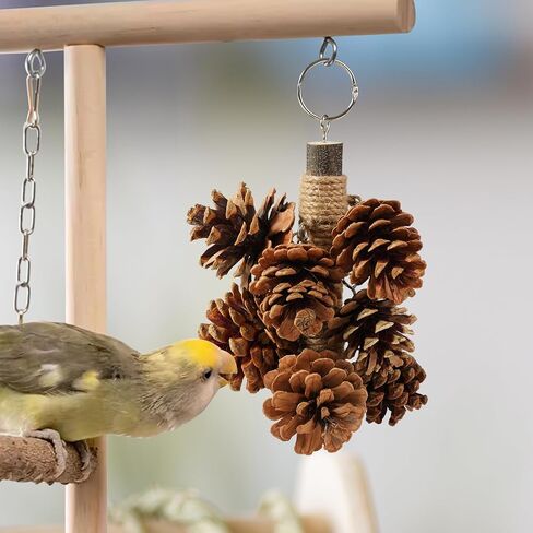 Bird Toys for Parrots Wooden Parrot Toys Natural Pine Cones Parrot Chewing Toys Medium-Sized Bird Toys with 8PCS Pine Cones Hangable Bird Cage Toy for Conures Parakeets African Grey Amazon Parrots in Saudi Arabia