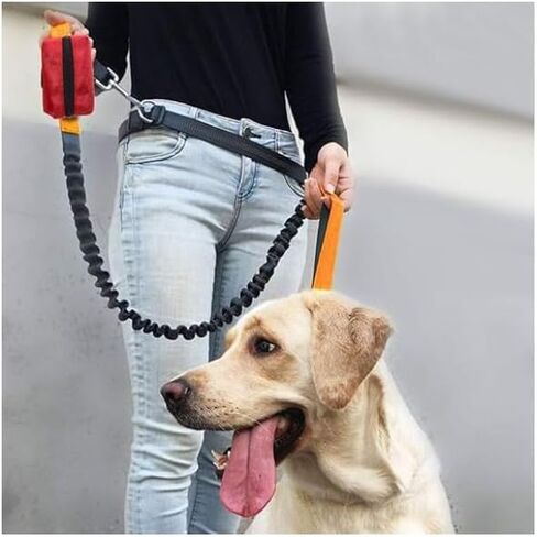 Pet Waste Bag Dispenser, Zippered Pouch, Portable Dog Poop Bag Holder, Leash Attachment, Lightweight Fabric Bags, Blue- Arrow Street in Saudi Arabia