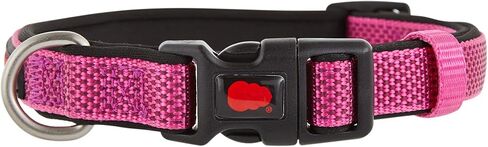 KONG Comfort Neoprene Padded Dog Collar offered by Barker Brands Inc. (Medium, Blue) in Saudi Arabia