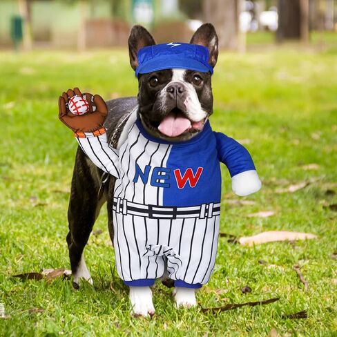 cyeollo Dog Costume Funny Cactus Dog Costumes Cute Halloween Cosplay Dog Clothes Holiday Party Outfits for Small Medium Dogs, S in Saudi Arabia