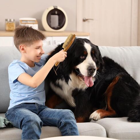 Pet Grooming Brush, Double-Sided Silicone & Bristle Brush for Short Hair Brushing, Ideal for Detangling Deshedding Massage Pet Skin, Pet Supplies Comb with Wood Handle for Pitbulls Yorkies Poodles Tzu in Kuwait