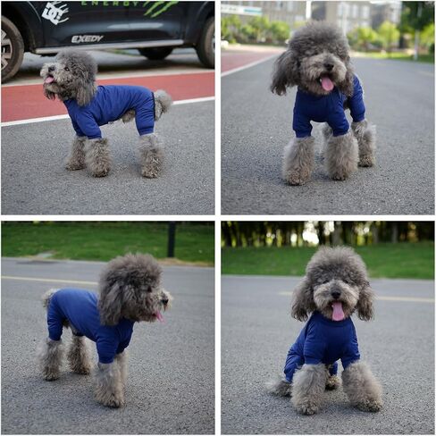 LoveLongLong Dog Jumpsuit with UV Protection and Quick-Dry Fabric for Spring Summer Pet Pajamas Pink L in Kuwait