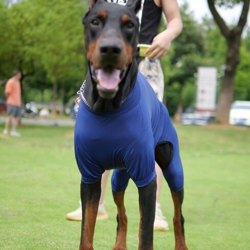 LoveLongLong Dog Jumpsuit with UV Protection and Quick-Dry Fabric for Spring Summer Pet Pajamas Pink L in Kuwait