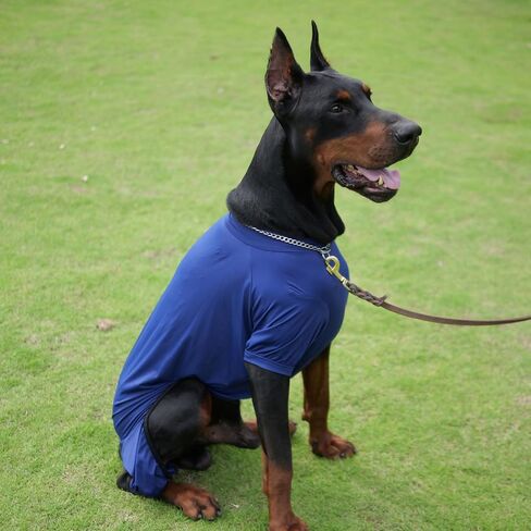 LoveLongLong Dog Jumpsuit with UV Protection and Quick-Dry Fabric for Spring Summer Pet Pajamas Pink L in Kuwait